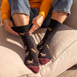 Charger l'image dans la galerie, Lot de 3 paires de chaussettes amusantes en coton pour homme - Team Dog