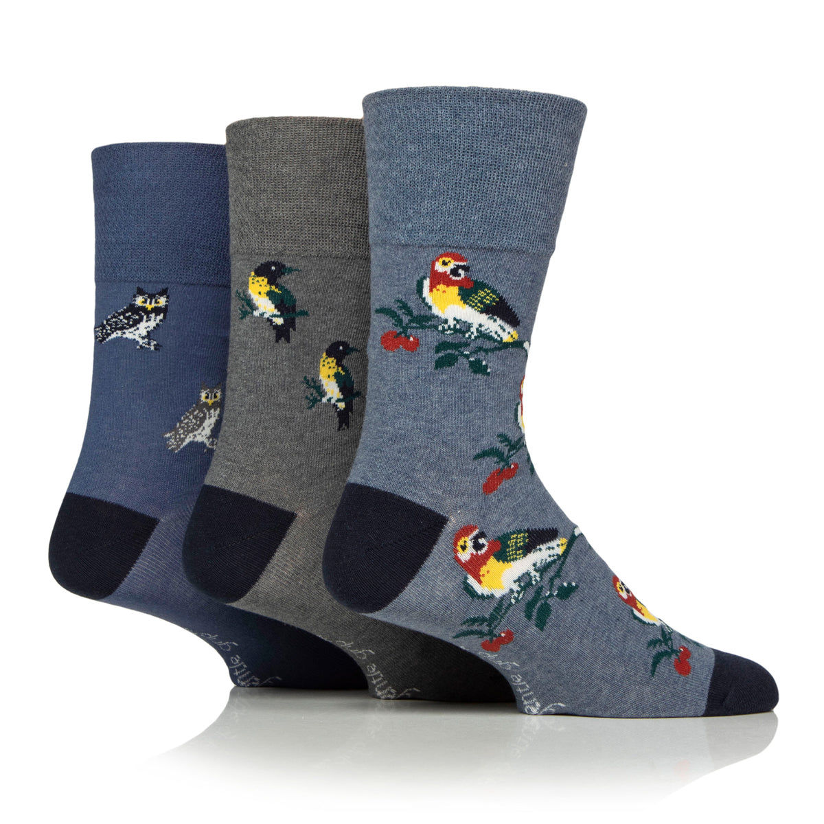 3 Pairs Men's RHS Bamboo Socks - Birds