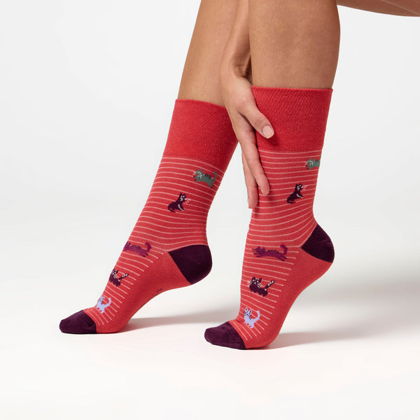 Lot de 3 paires de chaussettes amusantes en coton pour femme - Je suis une personne féline