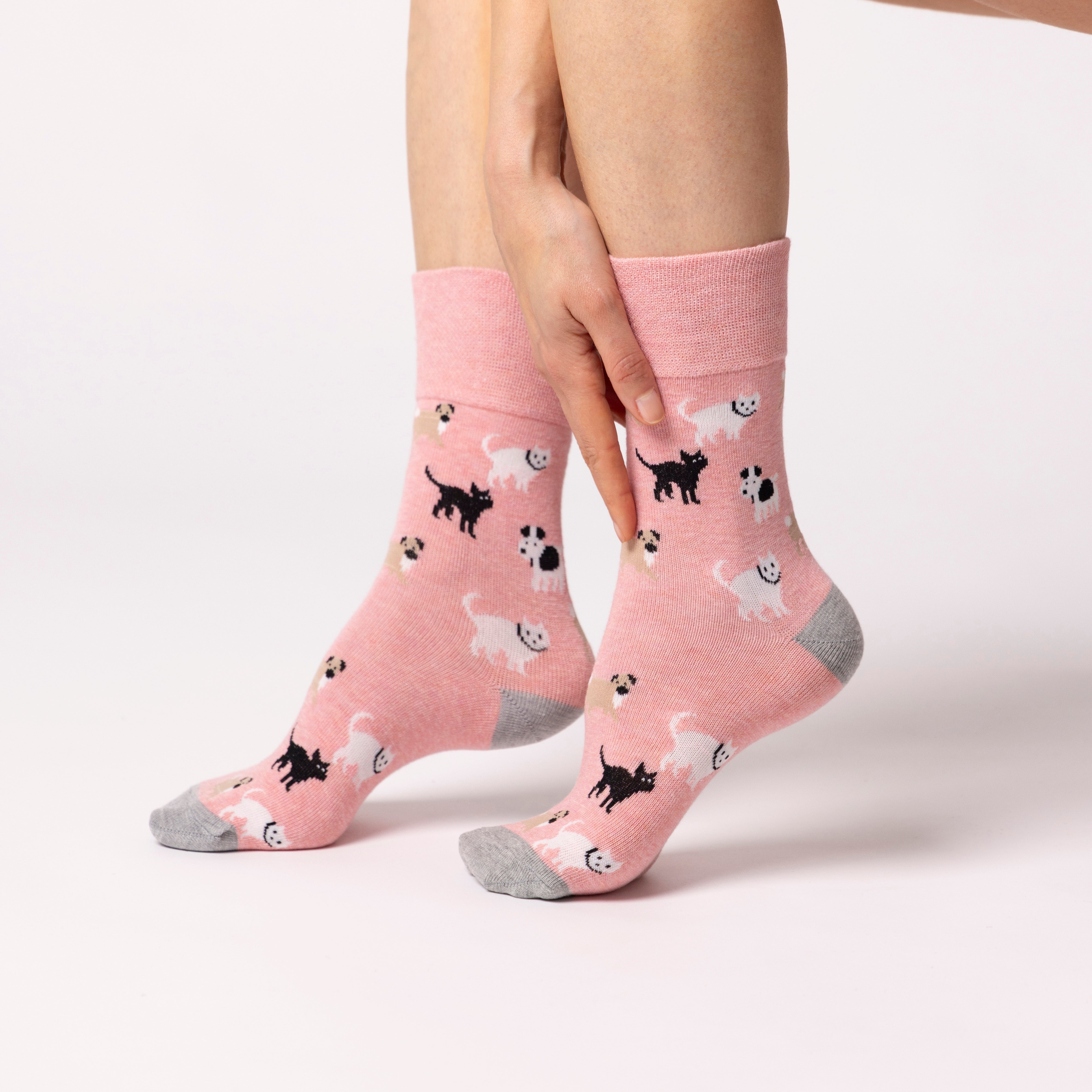 6 Pairs Ladies Fun Feet Cotton Socks - Pets