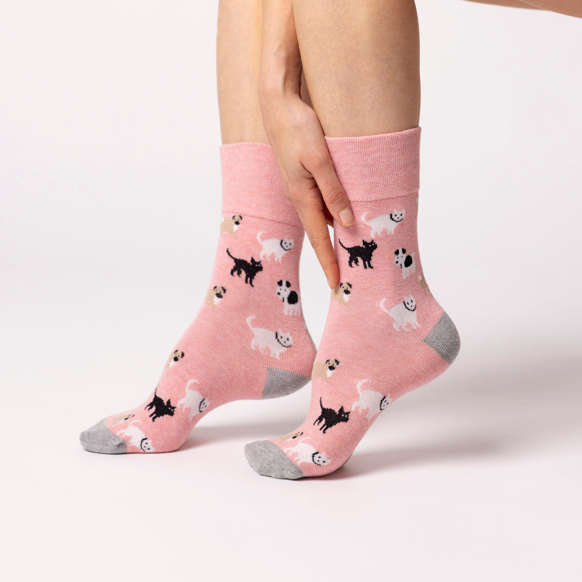 6 Pairs Ladies Fun Feet Cotton Socks - Pets